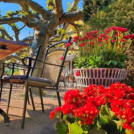 Jagdschloss Niederwald 호텔 4*