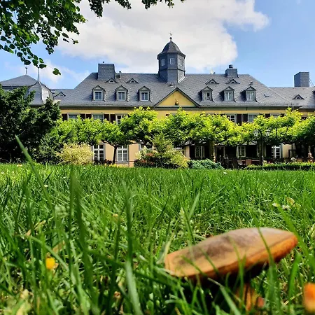 호텔 Jagdschloss Niederwald 로데스하임암라인