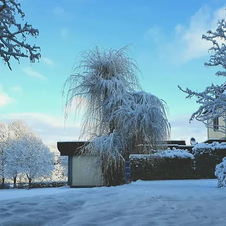 Jagdschloss Niederwald 4* 로데스하임암라인