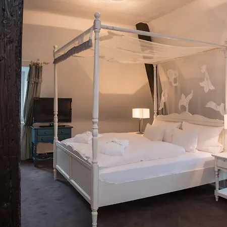 Jagdschloss Niederwald 호텔 4*