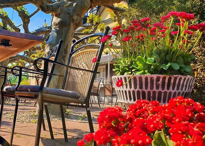 Jagdschloss Niederwald Ξενοδοχείο 4*