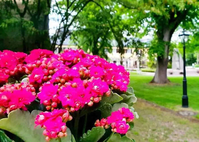Ξενοδοχείο Jagdschloss Niederwald