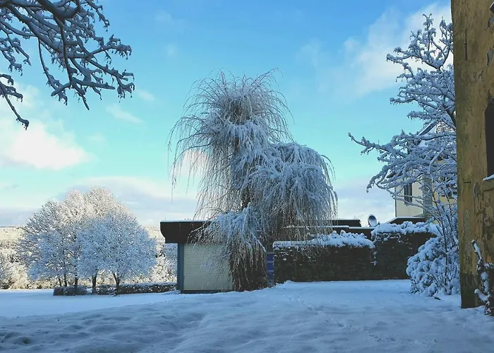 Jagdschloss Niederwald 4* Rüdesheim am Rhein